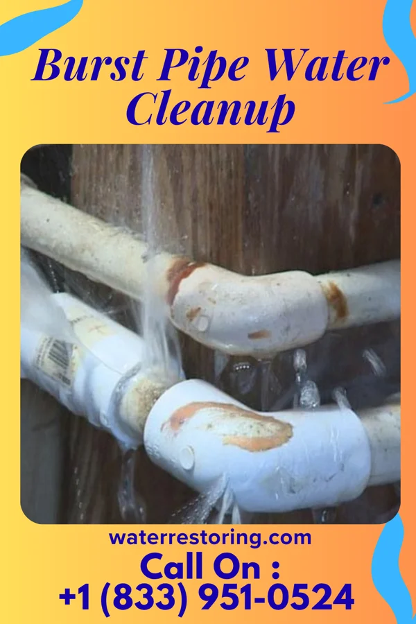 Burst Pipe Water Cleanup in Union, MO