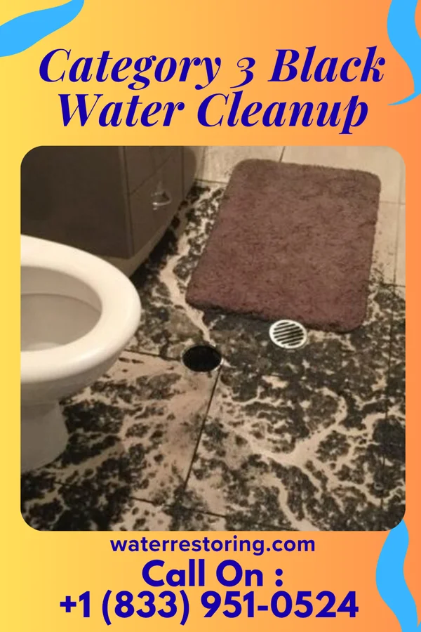 Category 3 Black Water Cleanup in Union, MO