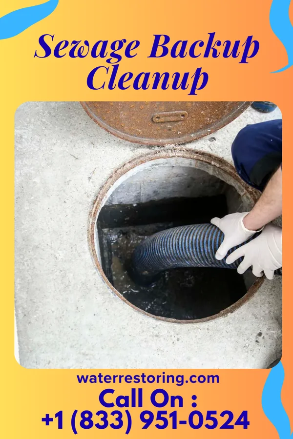 Sewage Backup Cleanup in Union, MO
